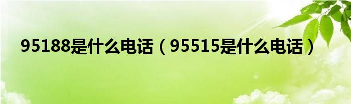 95188是什么电话（95515是什么电话）