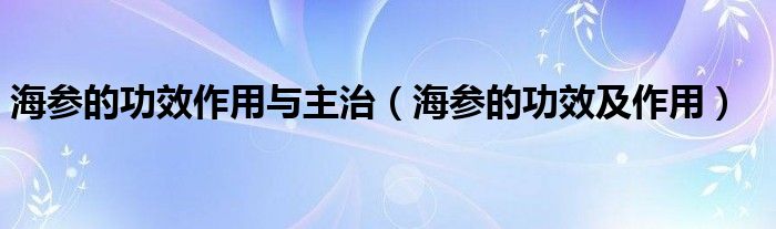 海参的功效作用与主治（海参的功效及作用）