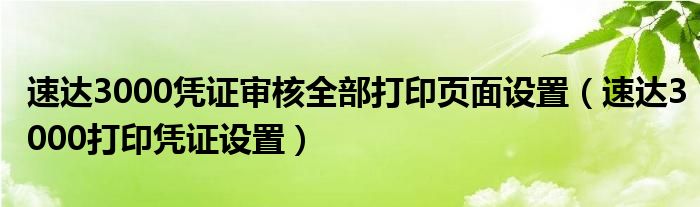 速达3000凭证审核全部打印页面设置（速达3000打印凭证设置）