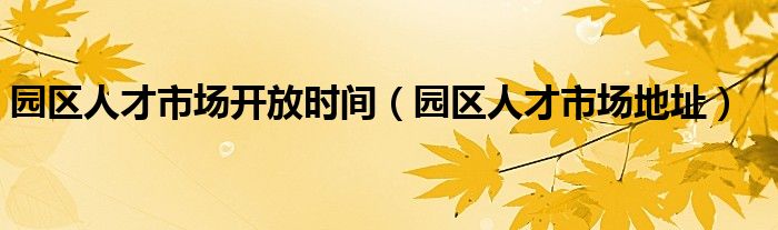 园区人才市场开放时间（园区人才市场地址）