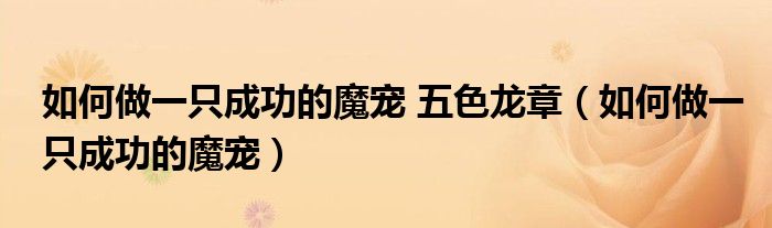 如何做一只成功的魔宠 五色龙章（如何做一只成功的魔宠）