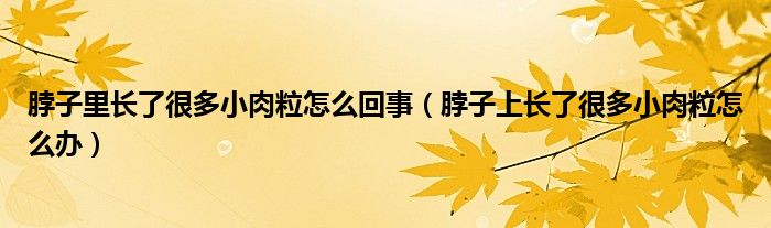 脖子里长了很多小肉粒怎么回事（脖子上长了很多小肉粒怎么办）