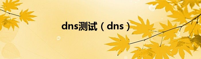 dns测试（dns）