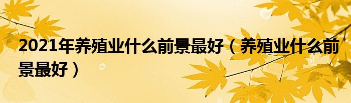 2021年养殖业什么前景最好（养殖业什么前景最好）