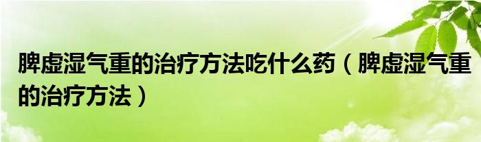 脾虚湿气重的治疗方法吃什么药（脾虚湿气重的治疗方法）