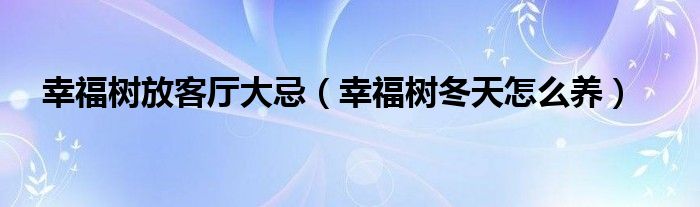 幸福树放客厅大忌（幸福树冬天怎么养）