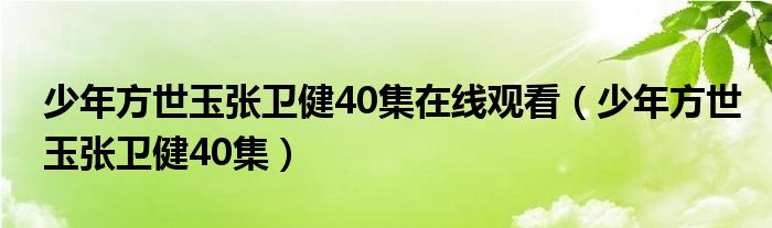 少年方世玉张卫健40集在线观看（少年方世玉张卫健40集）