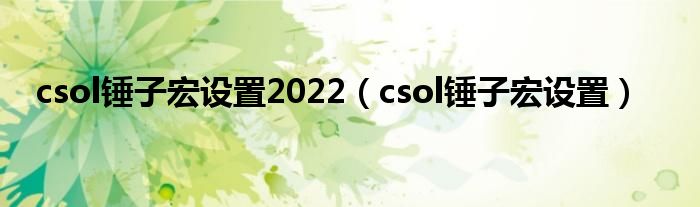 csol锤子宏设置2022（csol锤子宏设置）