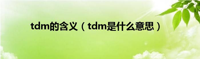 tdm的含义（tdm是什么意思）