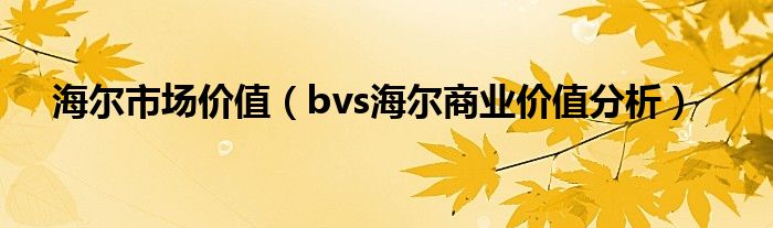 海尔市场价值（bvs海尔商业价值分析）