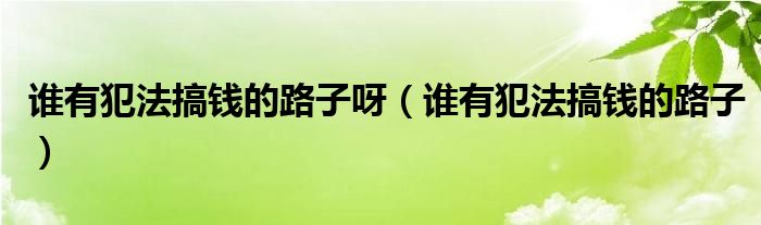 谁有犯法搞钱的路子呀（谁有犯法搞钱的路子）