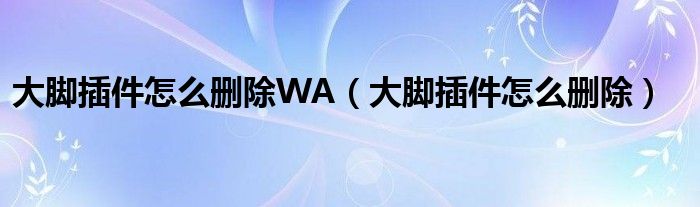 大脚插件怎么删除WA（大脚插件怎么删除）