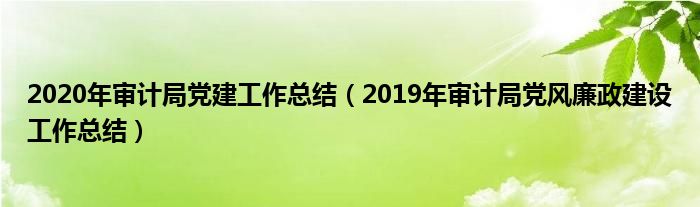 2020年审计局党建工作总结（2019年审计局党风廉政建设工作总结）