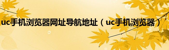 uc手机浏览器网址导航地址（uc手机浏览器）