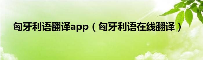 匈牙利语翻译app（匈牙利语在线翻译）