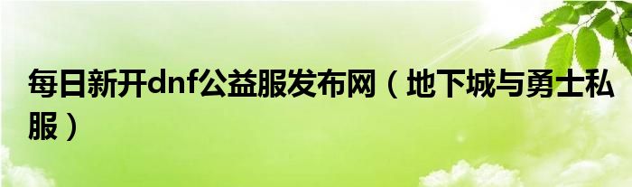 每日新开dnf公益服发布网（地下城与勇士私服）