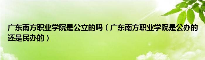 广东南方职业学院是公立的吗（广东南方职业学院是公办的还是民办的）