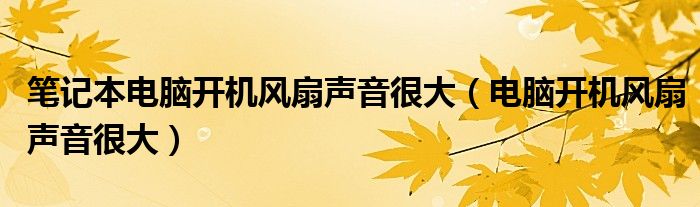 笔记本电脑开机风扇声音很大（电脑开机风扇声音很大）