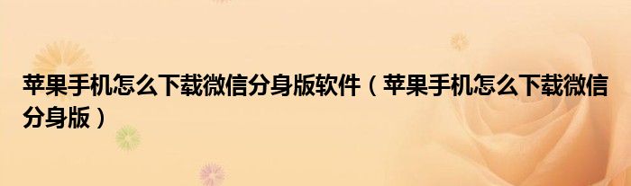 苹果手机怎么下载微信分身版软件（苹果手机怎么下载微信分身版）