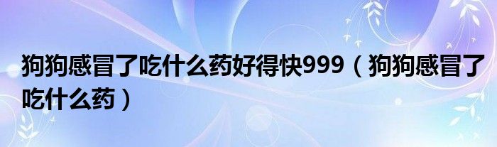 狗狗感冒了吃什么药好得快999（狗狗感冒了吃什么药）