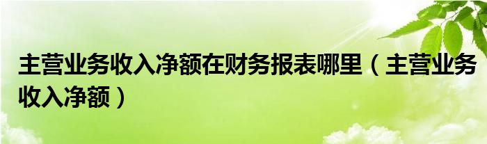 主营业务收入净额在财务报表哪里（主营业务收入净额）