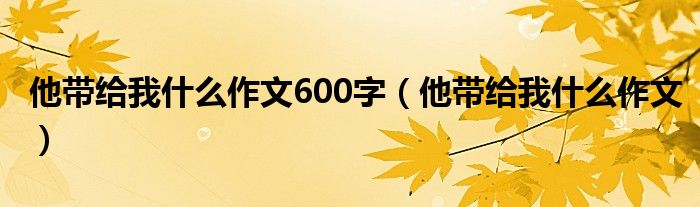 他带给我什么作文600字（他带给我什么作文）