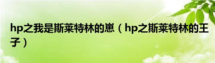 hp之我是斯莱特林的崽（hp之斯莱特林的王子）