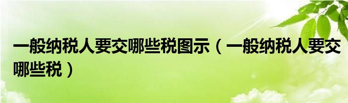 一般纳税人要交哪些税图示（一般纳税人要交哪些税）