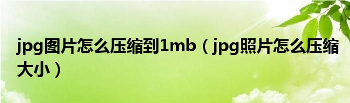 jpg图片怎么压缩到1mb（jpg照片怎么压缩大小）