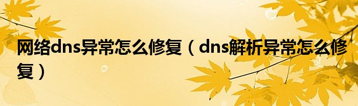 网络dns异常怎么修复（dns解析异常怎么修复）