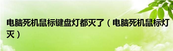 电脑死机鼠标键盘灯都灭了（电脑死机鼠标灯灭）