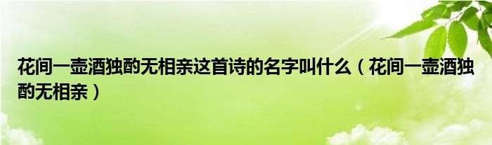 花间一壶酒独酌无相亲这首诗的名字叫什么（花间一壶酒独酌无相亲）