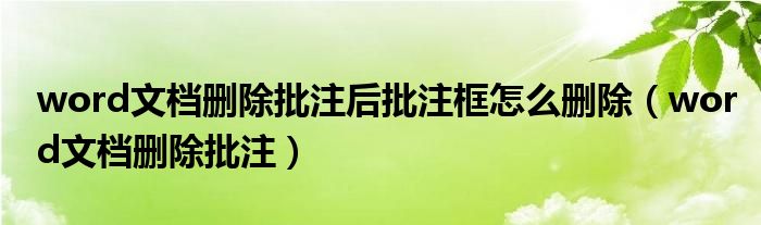 word文档删除批注后批注框怎么删除（word文档删除批注）