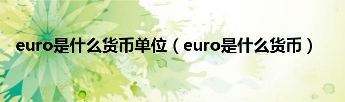 euro是什么货币单位（euro是什么货币）