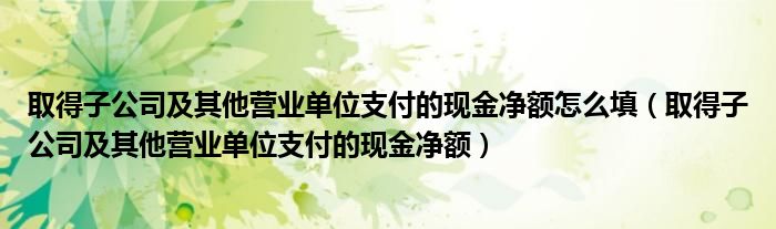 取得子公司及其他营业单位支付的现金净额怎么填（取得子公司及其他营业单位支付的现金净额）