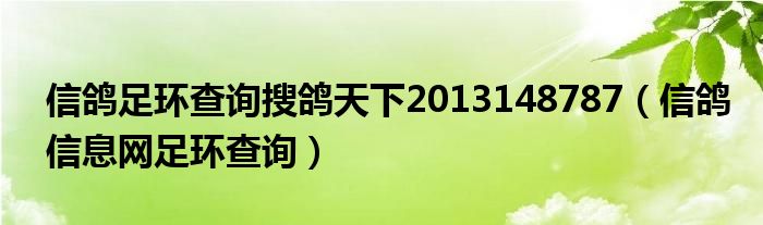 信鸽足环查询搜鸽天下2013148787（信鸽信息网足环查询）