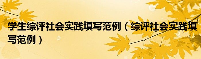 学生综评社会实践填写范例（综评社会实践填写范例）