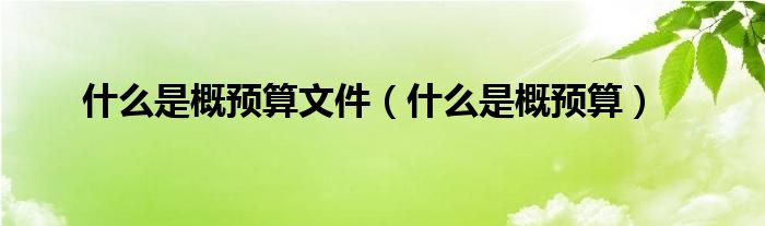 什么是概预算文件（什么是概预算）