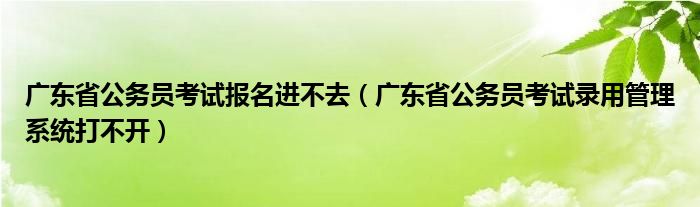 广东省公务员考试报名进不去（广东省公务员考试录用管理系统打不开）