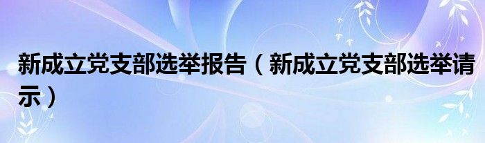 新成立党支部选举报告（新成立党支部选举请示）