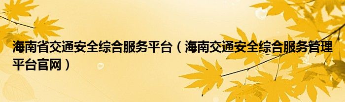 海南省交通安全综合服务平台（海南交通安全综合服务管理平台官网）