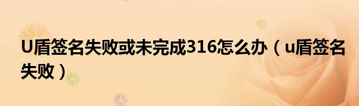 U盾签名失败或未完成316怎么办（u盾签名失败）