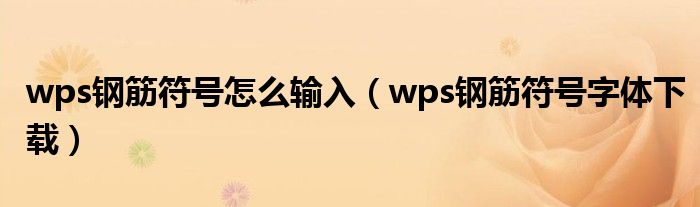 wps钢筋符号怎么输入（wps钢筋符号字体下载）