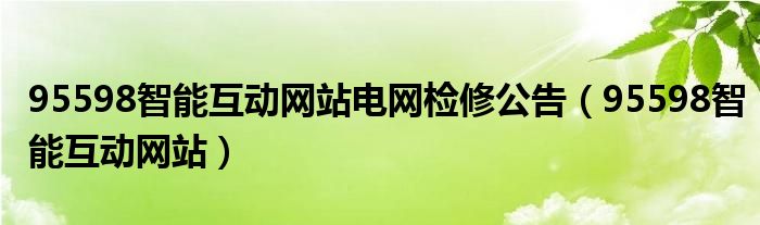 95598智能互动网站电网检修公告（95598智能互动网站）