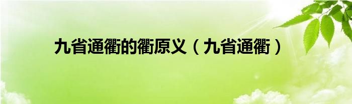 九省通衢的衢原义（九省通衢）