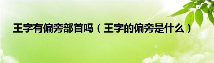 王字有偏旁部首吗（王字的偏旁是什么）