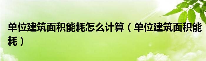 单位建筑面积能耗怎么计算（单位建筑面积能耗）