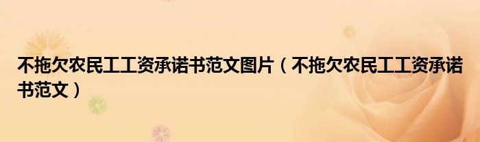 不拖欠农民工工资承诺书范文图片（不拖欠农民工工资承诺书范文）