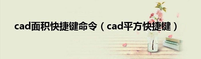 cad面积快捷键命令（cad平方快捷键）