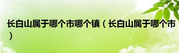 长白山属于哪个市哪个镇（长白山属于哪个市）